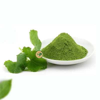 BỘT RAU MÁ NGUYÊN CHẤT TÂN LỘC PHÁT