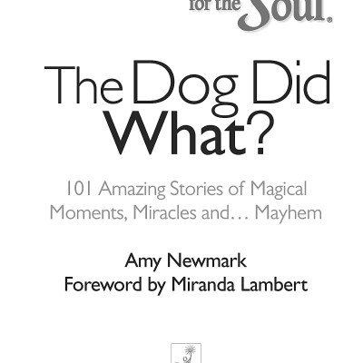 Chicken Soup For The Soul: The Dog Did What?: 101 Amazing Stories Of Magical Moments, Miracles And... Mayhem