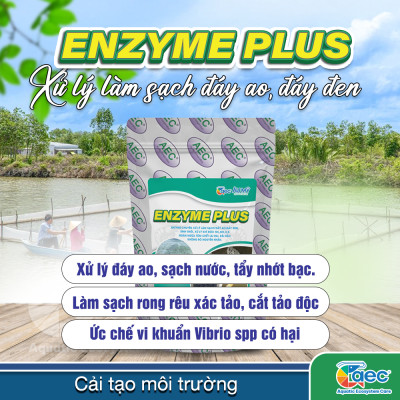 Chế phẩm vi sinh Enzyme Plus – hỗ trợ xử lý bùn đáy ao đáy đen nuôi tôm
