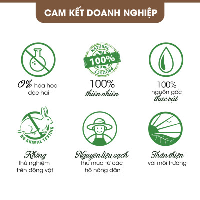 Tinh Dầu Phong Lữ Homer 100ml - Chính Hãng, Đạt Chuẩn Kiểm Định Cao Cấp - Tinh Dầu Xông Thơm Phòng, Thư Giãn, Khử Mùi hiệu quả