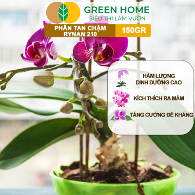 Phân Tan Chậm Greenhome, Rynan 210, Hũ 150gr, Dùng Cho Phong Lan Trưởng Thành, Bonsai, Đủ Dưỡng Chất Cho 120 Ngày