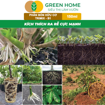 Phân Bón Lá TRIMIX - B1 Greenhome, Điền Trang, Chai 150ml, Kích Rễ, Tạo Mầm, Phục Hồi Rễ Yếu, Lá Dày