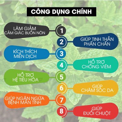 Tinh dầu Bạc Hà Lục Kobi Spearmint essential oil giúp kháng khuẩn, giảm căng thẳng hiệu quả