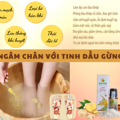 Tinh dầu Gừng nguyên chất Hoa Nén 5ml - Giảm đau đầu, say tàu xe, hỗ trợ tiêu hoá
