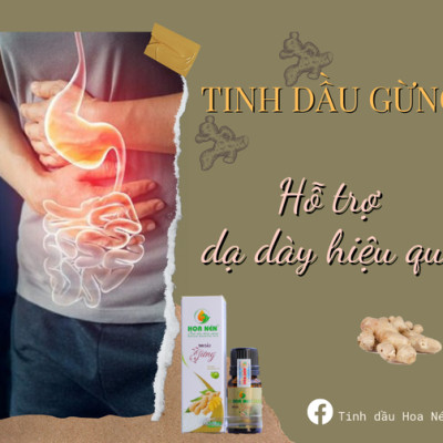Tinh dầu Gừng nguyên chất Hoa Nén 5ml - Giảm đau đầu, say tàu xe, hỗ trợ tiêu hoá