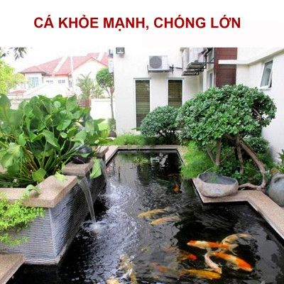 Men Vi Sinh Hồ Cá TN1A 10Gr dạng bột 3IN1 cao cấp: trong nước, khử tanh, bổ sung vitamin cho tôm cá hải sản