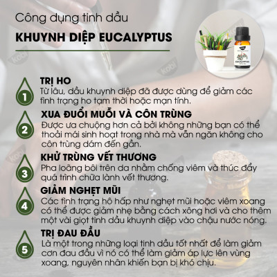 Combo 3 Tinh Dầu Xông Phòng Kobi: Tinh Dầu Tràm Gió (30ml) + Tinh Dầu Khuynh Diệp (30ml) + Tinh Dầu Hương Thảo (30ml) - Tinh Dầu Thiên Nhiên Nguyên Chất, Tốt Cho Bé Sơ Sinh, Giúp Giữ Ấm Cơ Thể, Phòng Ngừa Bệnh Hô Hấp Hiệu Quả