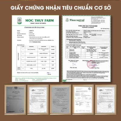 Tinh Dầu Hoa Nhài Homer 100ml - Chính Hãng, Đạt Chuẩn Kiểm Định Cao Cấp - Tinh Dầu Xông Thơm Phòng, Thư Giãn, Khử Mùi hiệu quả