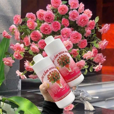 Nước Cắm Hoa Chống Hôi Thối, Giữ Hoa Tươi Lâu, Nước Cắm Hoa Tươi Lâu, Nước Cắm Bông, Nước Cắm Hoa Hamilk- HÀNG CHÍNH HÃNG MINIIN