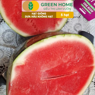 Hạt Giống Dưa Hấu Không Hạt Lai F1 Greenhome, Gói 5 Hạt, Dễ Trồng Quanh Năm, Nảy Mầm Cao, T27