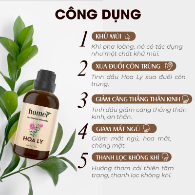 Tinh Dầu Hoa Ly Homer 100ml - Chính Hãng, Đạt Chuẩn Kiểm Định Cao Cấp - Tinh Dầu Xông Thơm Phòng, Thư Giãn, Khử Mùi hiệu quả