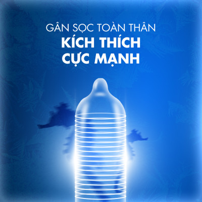 Bao cao su Shell Seahorse kéo dài thời gian - Hộp 3 cái | SHELL CHÍNH HÃNG