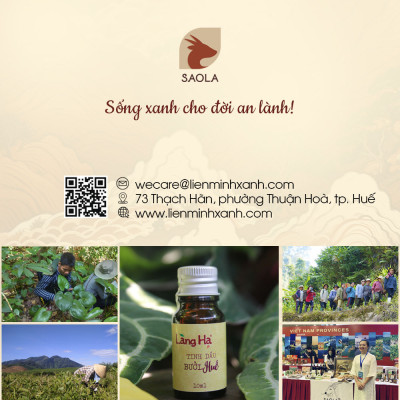 Tinh dầu Bưởi Huế thương hiệu Làng Hạ 30ml (Pomelo Peel oil): Giúp chăm sóc tóc, giảm rụng tóc, xông phòng, lọc không khí - Hàng Chính Hãng