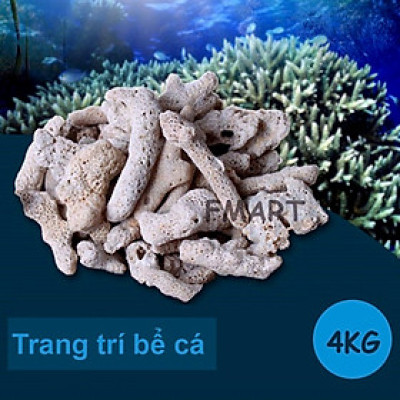 4KG San Hô Vụn vật liệu lọc hồ cá, trang trí bể cá, hồ thủy sinh cao cấp