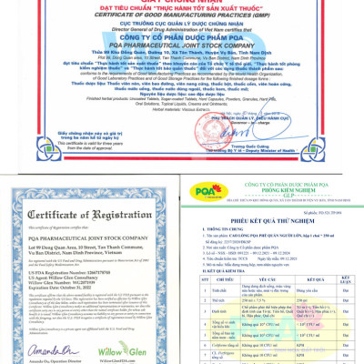 Phế Quản Người Lớn PQA Hỗ Trợ Thanh Họng, Giảm Viêm Phế Quản, Hen Suyễn, Ho Nhiều Hộp 250ml