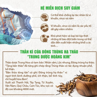 Thực phẩm bảo vệ sức khỏe Viên đông trùng hạ thảo - Thiên Sư. Hỗ trợ bồi bổ cơ thể, hỗ trợ làm giảm mệt mỏi, hỗ trợ giúp tăng cường sức đề kháng cho cơ thể, nâng cao chức năng Thận.