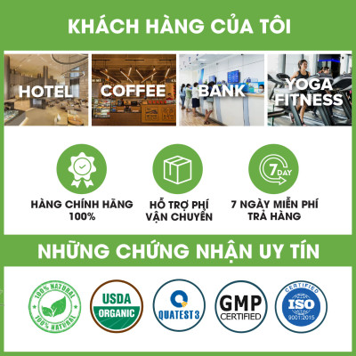 [Mua 10 tặng 1] Thùng 10 tinh dầu treo xe Mộc Thủy - giúp khử mùi xe hơi, làm thơm phòng, thư giãn, đuổi muỗi 7ml (nhiều mùi chọn lựa)