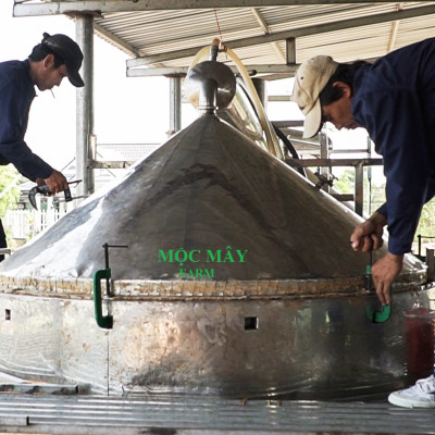 Tinh dầu Sả Java 100ml Mộc Mây - tinh dầu thiên nhiên nguyên chất 100% - chất lượng và mùi hương vượt trội