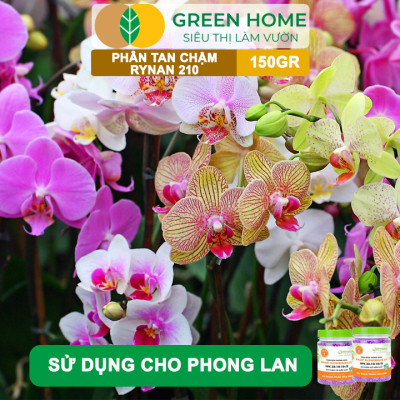Phân Tan Chậm Greenhome, Rynan 210, Hũ 150gr, Dùng Cho Phong Lan Trưởng Thành, Bonsai, Đủ Dưỡng Chất Cho 120 Ngày