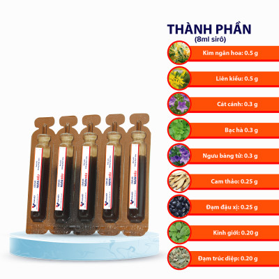  Siro ho thảo dược Ngân Kiều Hoa Việt tăng cường sức đề kháng, hỗ trợ giảm ho hiệu quả 20 ống