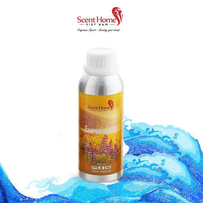 Tinh dầu Sea Breeze - ScentHomes ( Sea Breeze- 50ml,100ml,250ml)