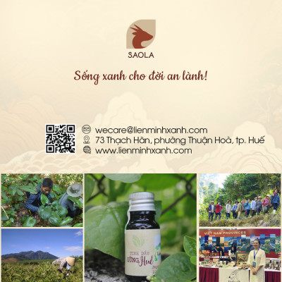 Tinh dầu Gừng Huế 10ml (Ginger oil)