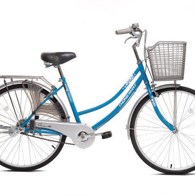 Xe đạp Thống Nhất mini 219 –24/ 26″