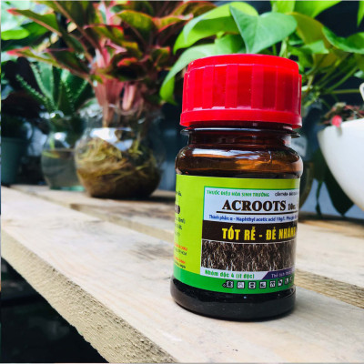Phân Bón ACROOTS 10SL - Chất điều hòa sinh trưởng ACROOTS giúp Tốt Rễ Đẻ Nhánh nhập khẩu Úc
