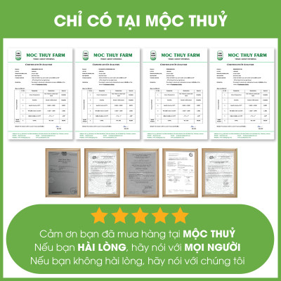 Tinh Dầu Hoa Violet Nguyên Chất Hữu Cơ MỘC THỦY 100ML - White Tea Essential Oil - Khử Mùi Xông Thơm Phòng, Thư Giãn - Đạt chuẩn chất lượng kiểm định