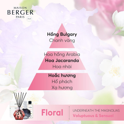 Maison Berger - Bộ lọ tinh dầu khuếch tán Midnight Blue Molecule - 200ml - 2 món