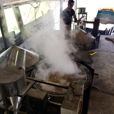 Tinh dầu Gỗ Đàn Hương nguyên chất từ thiên nhiên, xông phòng, khử mùi, đuổi muỗi, thơm phòng - KingOil