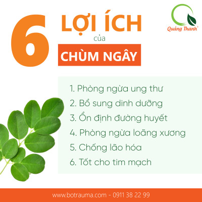 Bột Chùm Ngây Sấy Lạnh Nguyên Chất Gói 100gr  - Bột dinh dưỡng ăn dặm cho bé, tăng cường sức khỏe