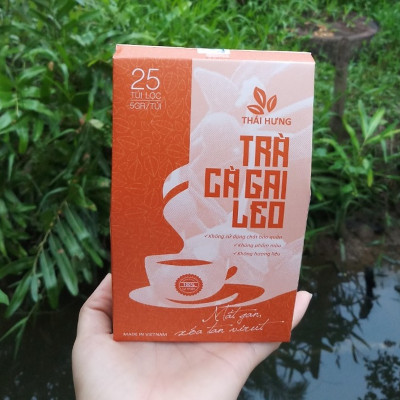 Combo 02 Hộp Trà Cà gai leo Thái Hưng 25 túi lọc x 05g (125g) - Mát gan, giải độc, giải rượu, giảm mụn nhọt