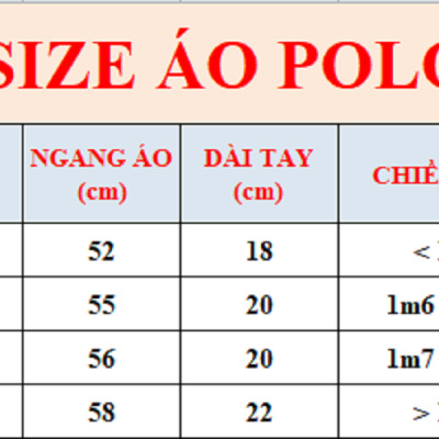 Áo Thun POLO Trơn Unisex Form Rộng - Brand Chính Hãng SDVN
