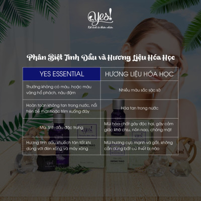 TINH DẦU BẠCH ĐÀN CHANH YES! ( EUCALYPTUS CITRIODORA ESSENTIAL OIL )