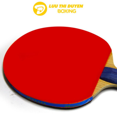 Vợt Bóng Bàn Double Fish - Lừu Thị Duyên Boxing - Model 2AC, 3AC, 4AC, 5AC - Mẫu mới, kèm 2 quả bóng bàn