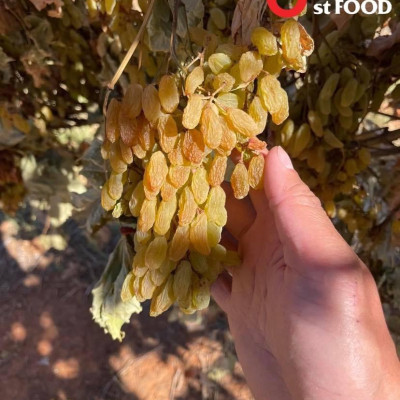 Nho khô nguyên cành THOMPSON Úc Dried Grapes Adora st Food (mẫu Quà Tết 1kg/hộp) ngon, bổ dưỡng, giàu vitamin, khoáng chất tự nhiên-QuaTangMe Extaste