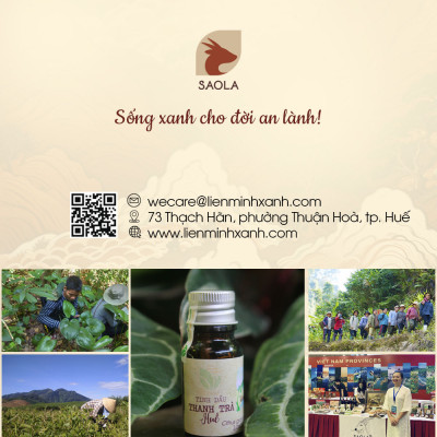 Tinh dầu Bưởi Thanh Trà Huế 30ml (Pomelo Peel oil) - giúp giữ ấm, tránh gió và xua đuổi côn trùng, lọc không khí - Hành Chính Hãng