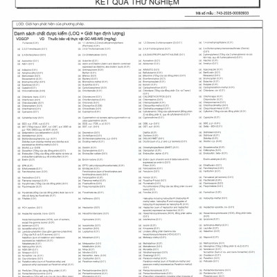 Gạo Quảng Trị VIETGAP) tốt cho NGƯỜI TIỂU ĐƯỜNG, GÚT, BÉO PHÌ TÚI 5 KG