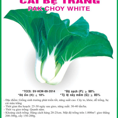 Hạt giống Cải bẹ Trắng VTS160