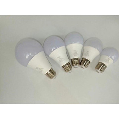 Bóng búp led
