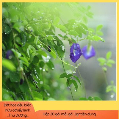 Bột HOA ĐẬU BIẾC hữu cơ sấy lạnh Dalahouse - Hộp 20 gói 3gr tiện lợi - Giảm căng thẳng mệt mỏi, hỗ trợ chống ô xy hóa, tốt cho mắt và giúp cho giấc ngủ sâu 