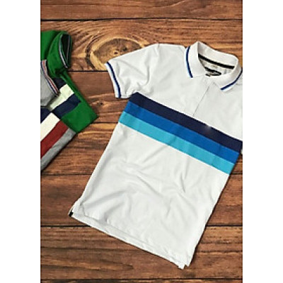 Áo thun cá sấu nam 3 sọc kẻ