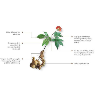 Combo 4 hộp Cốm Gạo lứt huyết rồng Sâm ngọc Linh BIBO- làng nghề truyền thống 50 năm, cốm thuần chay tốt cho sức khỏe
