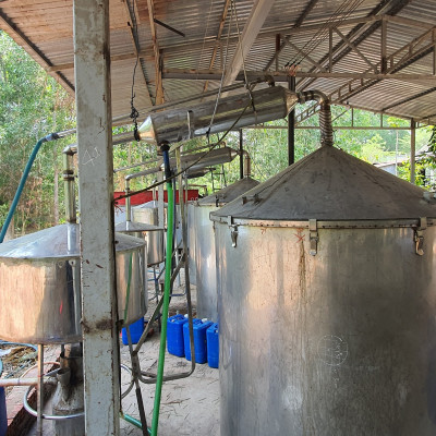 Tinh dầu Táo 10ml Mộc Mây - tinh dầu thiên nhiên nguyên chất 100% - chất lượng và mùi hương vượt trội - Có kiểm định