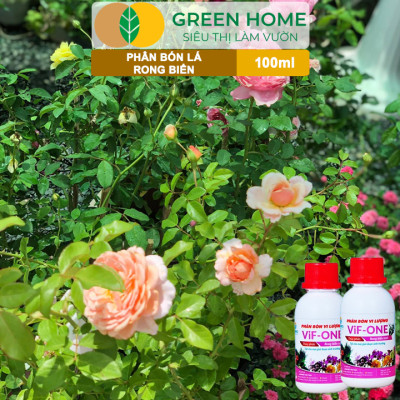 Phân Bón Lá Rong Biển Greenhome, Lavamix, Chai 100ml, Hữu Cơ, Ra Hoa, Đậu Trái, Chắc Hạt, Tăng Khả Năng Ra Đọt