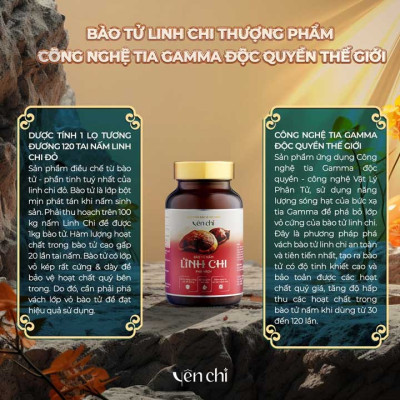Viên uống sức khỏe YÊN CHI BÀO TỬ NẤM LINH CHI PHÁ VÁCH DAMODE lọ 60 viên