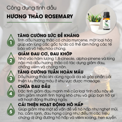 Combo 3 Tinh Dầu Xông Phòng Kobi: Tinh Dầu Tràm Gió (30ml) + Tinh Dầu Khuynh Diệp (30ml) + Tinh Dầu Hương Thảo (30ml) - Tinh Dầu Thiên Nhiên Nguyên Chất, Tốt Cho Bé Sơ Sinh, Giúp Giữ Ấm Cơ Thể, Phòng Ngừa Bệnh Hô Hấp Hiệu Quả