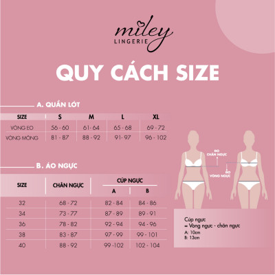 Bộ Áo Ngực Ren Không Gọng và Combo 5 Quần Ren Nữ Tea Rose Miley Lingerie - BRL02005_FLS0203