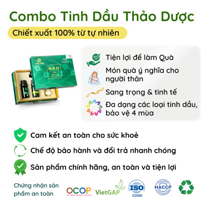 Combo Tinh dầu thảo dược (10ml tràm Huế + 10ml bạc hà + 8ml sả)- Đạt chuẩn OCOP 4 SAO